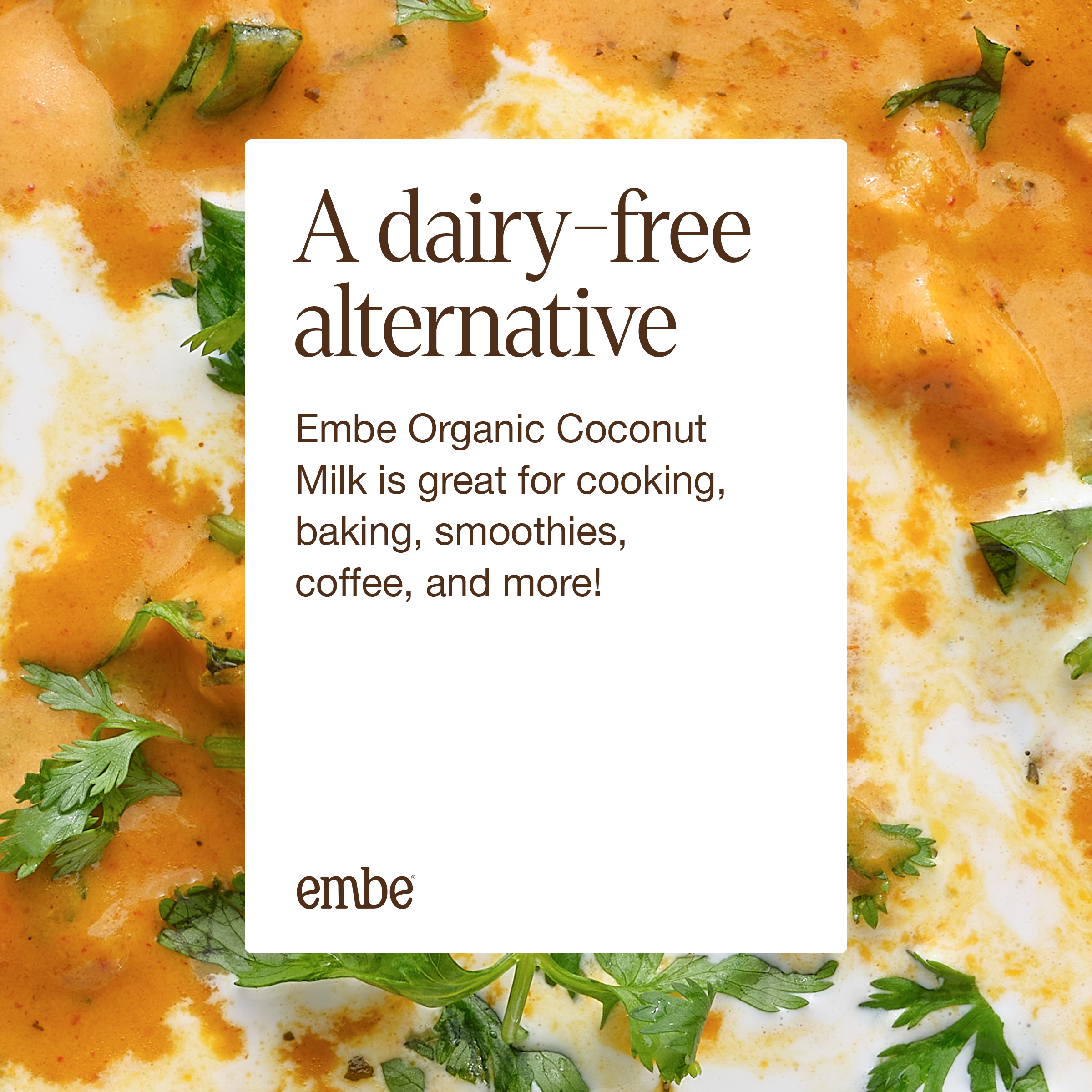 Embe Organic Unsweetened Coconut Milk | 11.1 fl oz